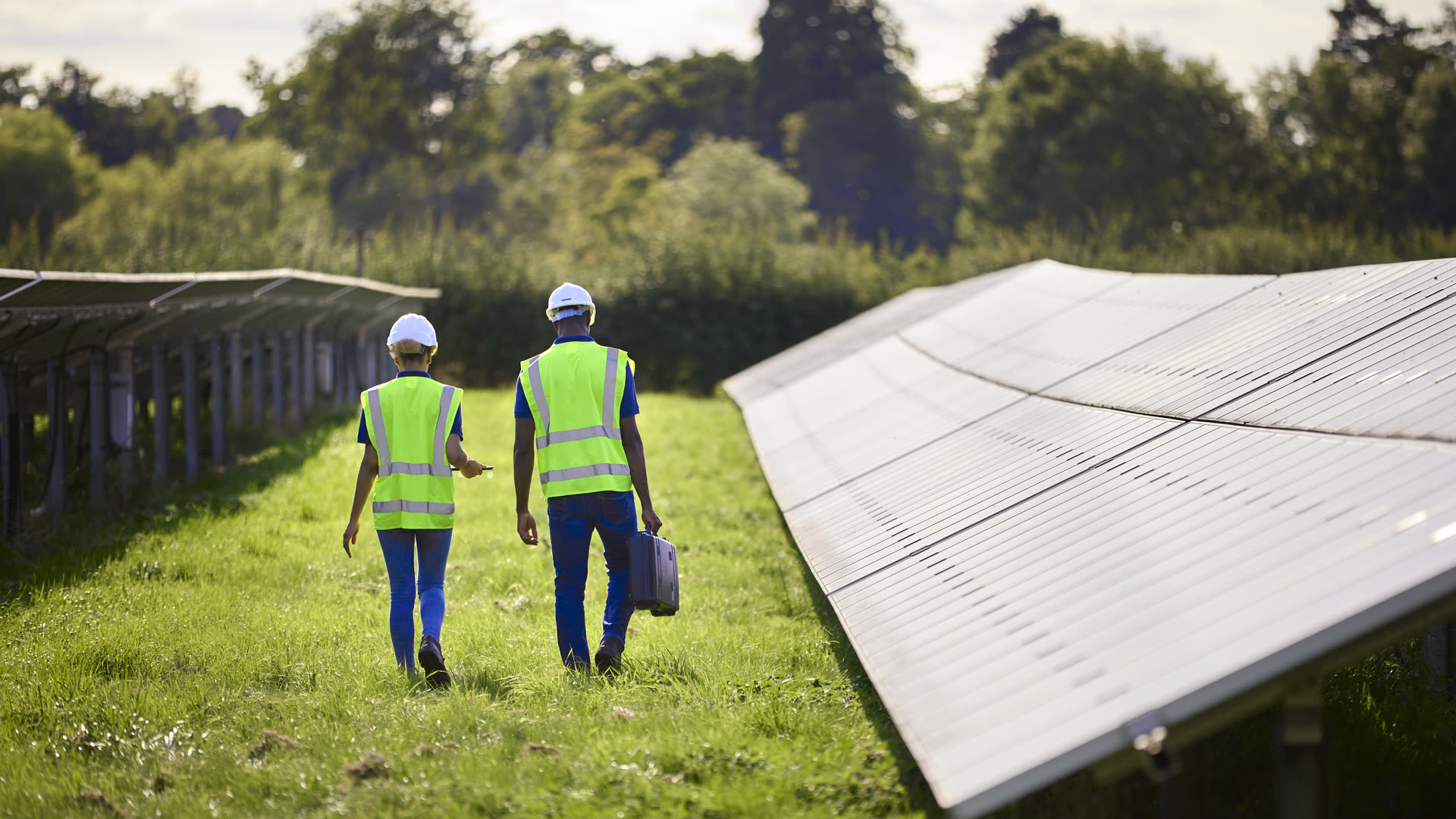 Nordic fjord and island landscape